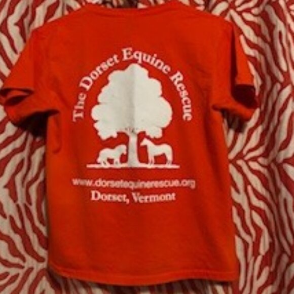 Dorset Equine Rescue T-shirt, Colorful orange, 100% Ultra Cotton, Size Medium - Picture 6 of 6